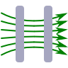 A pair of Helmholtz coils causes a very homogeneous magnetic field.