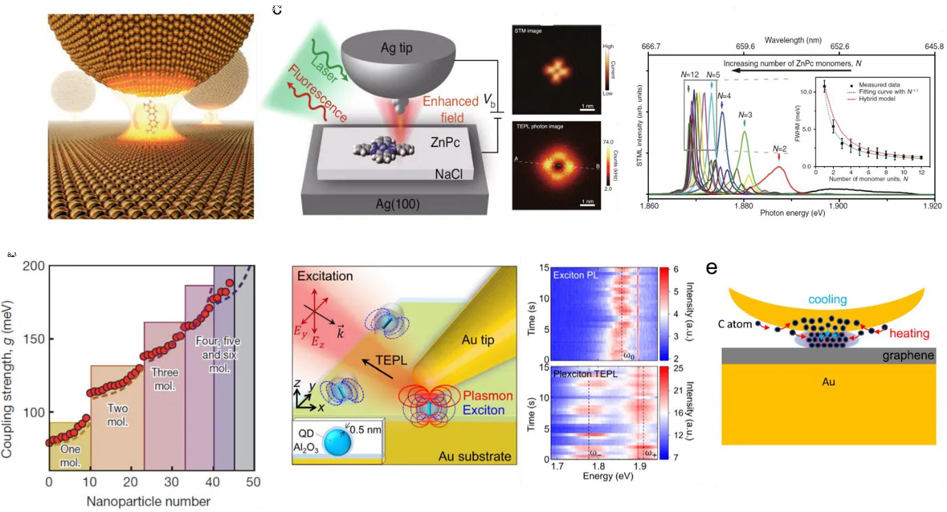fig3 near field spectroscopy for 0D and 1D excitonic materials in strong coupling